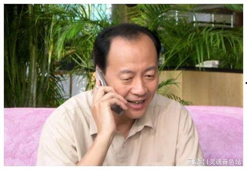 陈清泉演员,光影交织的演艺人生