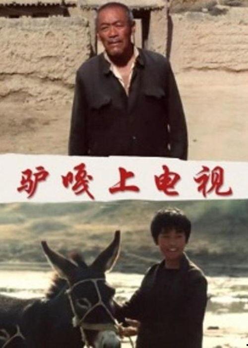 方辉资料,探寻人生轨迹与成就的传奇故事