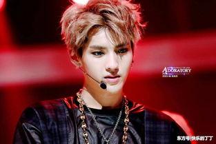 演员卓亦凡,影视界的新星闪耀