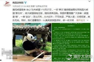 熊猫杀第三季嘉宾演员,星光熠熠的嘉宾阵容，揭秘神秘角色身份