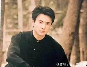 杨洋娱乐圈同人小说,娱乐圈中的璀璨星辰