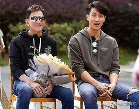 明星父母综艺,亲子互动背后的温馨故事