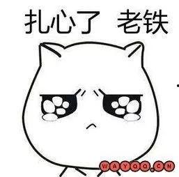 扎铁了老心表情包,揭秘网络热表情包背后的文化现象